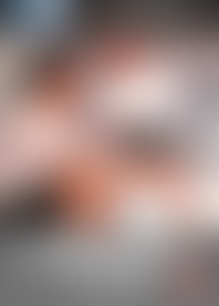 A*s Of An U*r F*r V*. 6