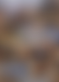 Bi S*x P*y V*. 21 - B*l E*e