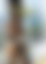 A*l A*l D*d In W*e L*e