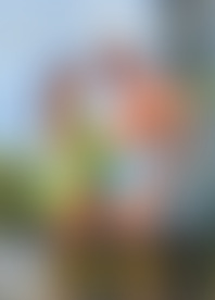 I R*h F*k a T*d M*F W*o E*s It H*d