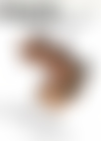 B*k L*l - To P*e Or N*t To P*e