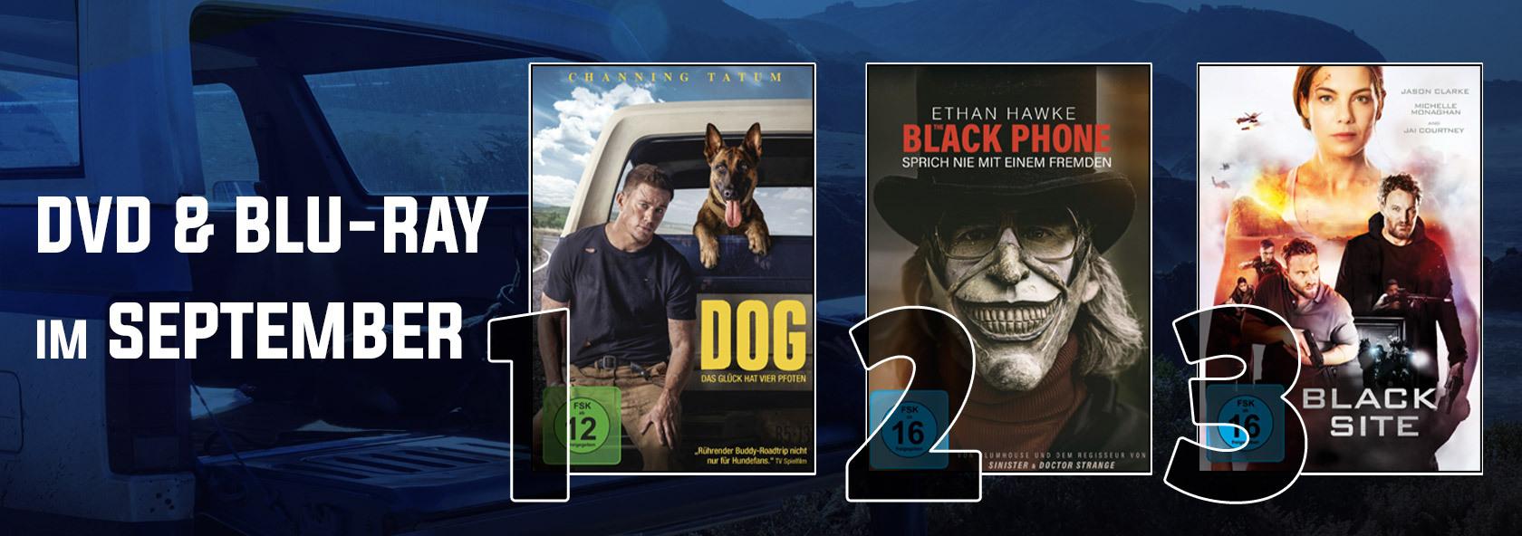 DVD & Blu-ray Charts September 2022: Top 10: Starbesetztes Kammerspiel überrascht auf Platz 7