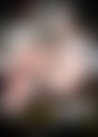 F*e B*: M*e F*t F*h 2