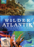Wilder Atlantik