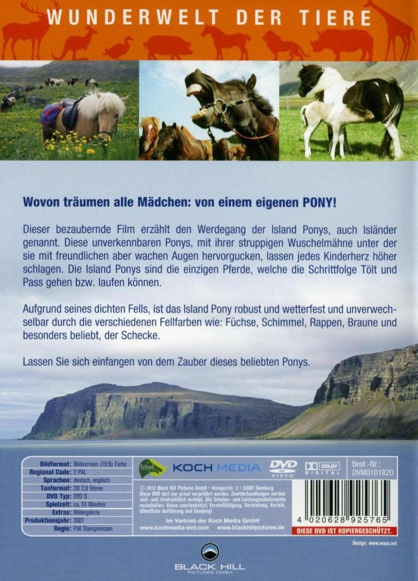 Wunderwelt Der Tiere Island Ponys DVD Oder Blu Ray Leihen