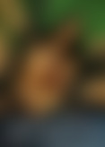 J*e