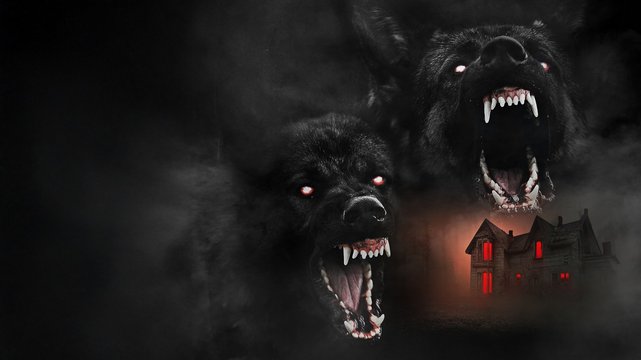 The Dogs - Wallpaper 2 The Dogs - Wallpaper 2