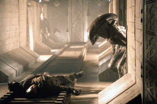 Alien 3 - Szenenbild 2