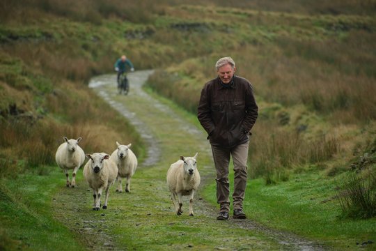 Ridley - Staffel 2 - Szenenbild 1 Ridley - Staffel 2 - Szenenbild 1