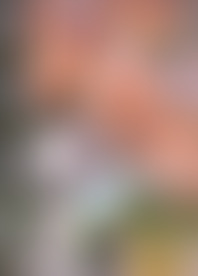 I*l L*e - Y*n G*u A*m