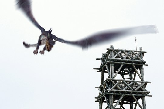Dragon Storm - Die Drachenjäger - Szenenbild 1 Dragon Storm - Die Drachenjäger - Szenenbild 1
