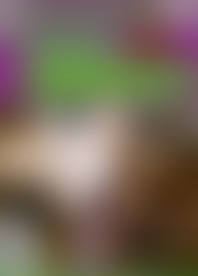 C*c B*k C*: V*m E*l F*l of C*, T*e