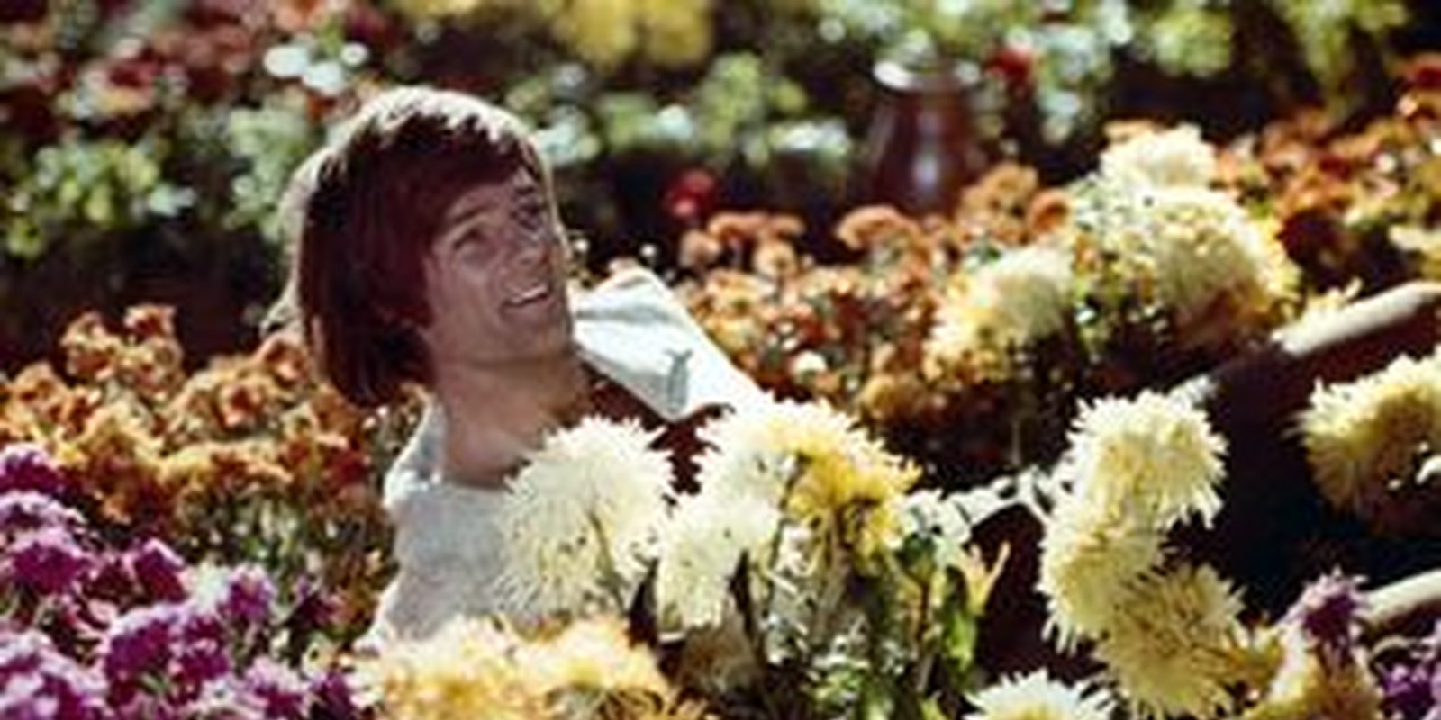 Aus dem Leben eines Taugenichts