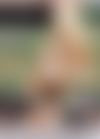 D*e G*e d*r P*e v*n 1*0 b*s h*e