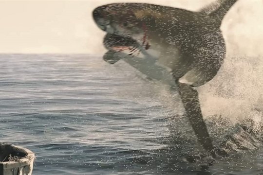 The Requin - Szenenbild 2