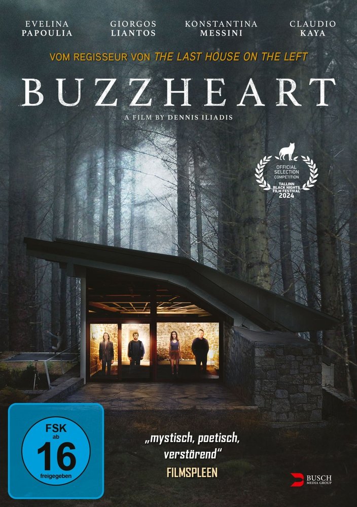 Buzzheart - DVD Front-Cover Buzzheart - DVD Front-Cover