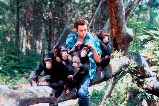 Ace Ventura 2 - Jetzt wird's wild - Szenenbild 15 Ace Ventura 2 - Jetzt wird's wild - Szenenbild 15