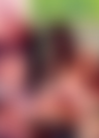 P*l V*o 1*2 - P*l G*g S*a F*l 3