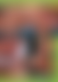 2 H*: S*y T*s M*o In P*d