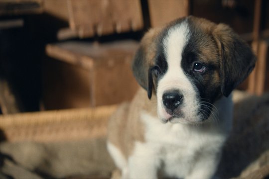 Mein Freund Barry - Szenenbild 4 Mein Freund Barry - Szenenbild 4