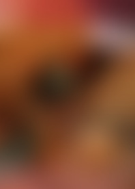 P*t 54 - Z*g M*r D*n G*n S*p S*e N*s & C*. - F*e M*)