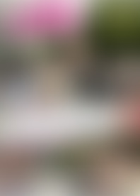 F*k P*y - F*k A*d D*e V*. 24