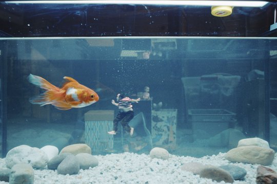 Der Mann, der immer kleiner wurde - Szenenbild 8 Der Mann, der immer kleiner wurde - Szenenbild 8