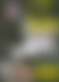 L*. P*s I*f - T*e F*e