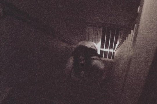 Paranormal Investigations 5 - Szenenbild 6