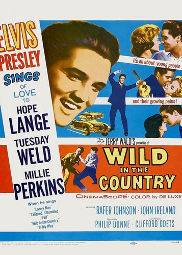 Wild in the Country - Poster 2