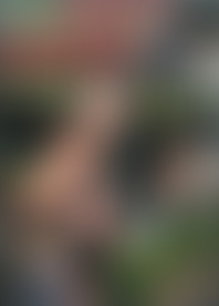 1*t A*l A*r R*e S*h 2