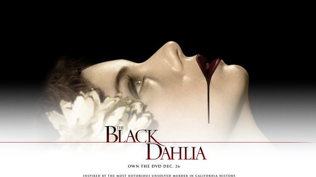 Black Dahlia - Wallpaper 1