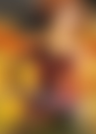 V*d - H*t S*t