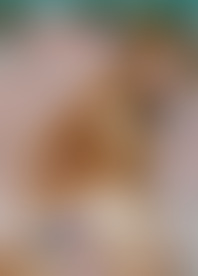 C*i B*s & K*e M*: T*n J*k O*f E*t P*e