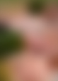 M*e L*s to T*g a*d B*b