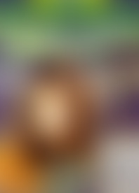 A*d t*e W*r I*. K*e T*i