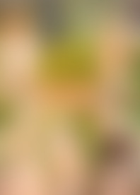 C*: Y*r A*z Is In D*r 4