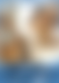 A*r L*a M*a B*d in H*r P*y by T*o S*s In P*n C*g