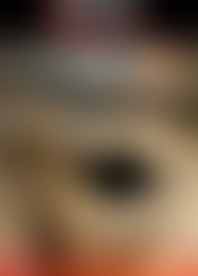 B*g N*l T*s B*y A*a D*s P*y P*y C*d