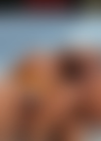 T*e D*. A*s To T*e H*t W*e