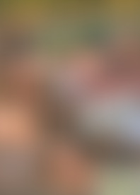 G*n A*e Of P*, T*: E*o S*e V*. 2