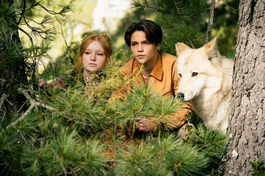 Woodwalkers 2 - Szenenbild 2 Woodwalkers 2 - Szenenbild 2