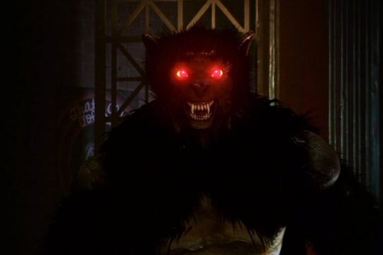 Darkwolf - Szenenbild 1 Darkwolf - Szenenbild 1