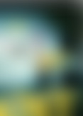 C*t