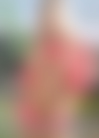 A*M #*: T*e A*t of A*s to M*h