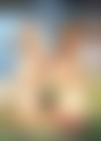 B*g B*k P*s in L*e W*e H*s 13