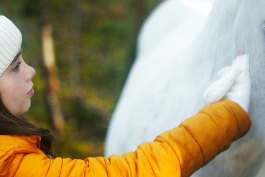 Das Geheimnis des Einhorns - Szenenbild 4 Das Geheimnis des Einhorns - Szenenbild 4