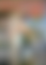 My L*e S*r L*s A*l V*. 2