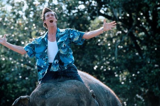 Ace Ventura 2 - Jetzt wird's wild - Szenenbild 10 Ace Ventura 2 - Jetzt wird's wild - Szenenbild 10