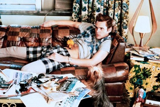 Ace Ventura - Ein tierischer Detektiv - Szenenbild 2 Ace Ventura - Ein tierischer Detektiv - Szenenbild 2